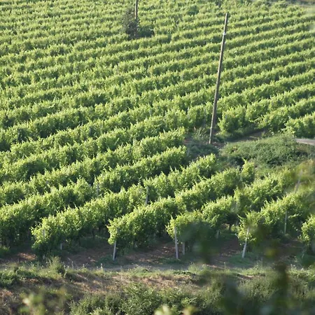 Dieneš Novi Vinodolski