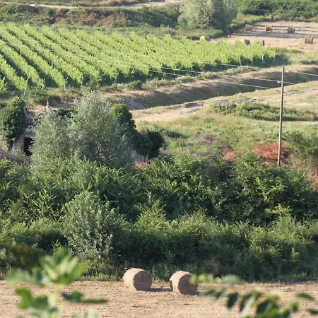 Dieneš Novi Vinodolski